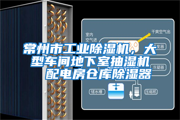 常州市工業(yè)除濕機，大型車(chē)間地下室抽濕機  配電房倉庫除濕器