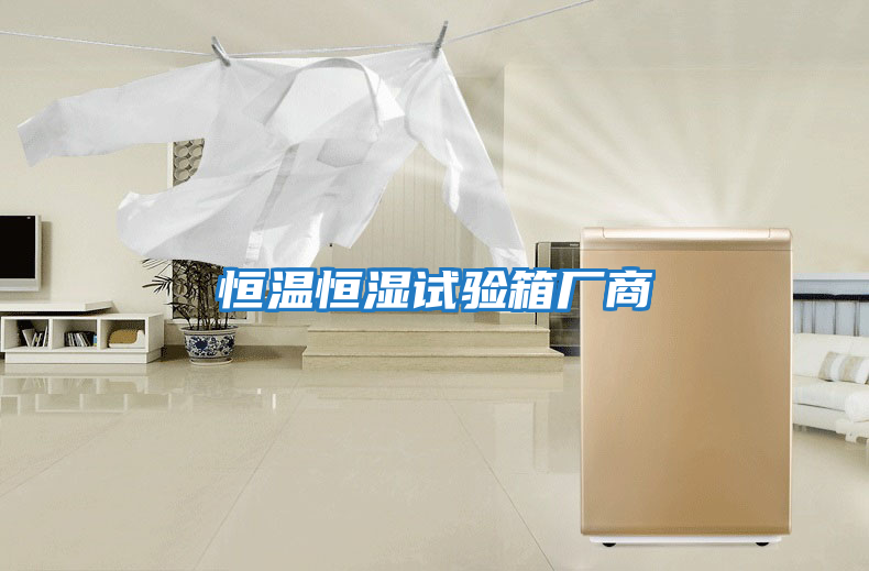 恒溫恒濕試驗箱廠(chǎng)商
