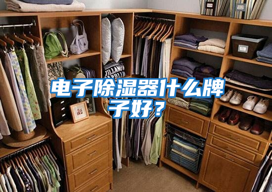 電子除濕器什么牌子好？