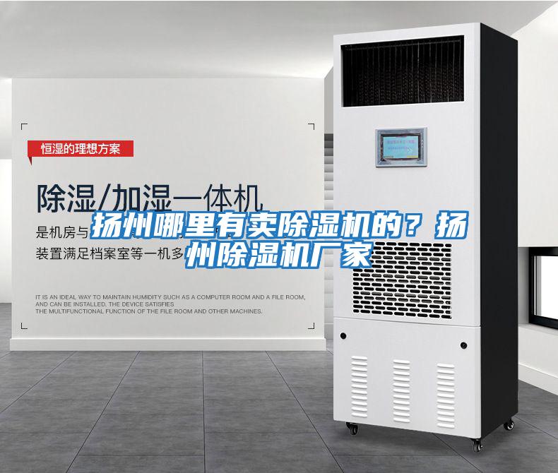 揚州哪里有賣(mài)除濕機的？揚州除濕機廠(chǎng)家