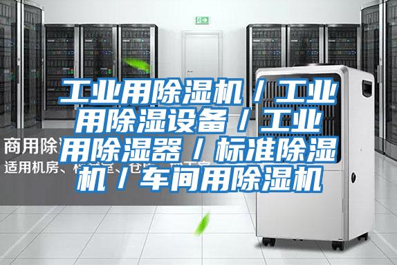工業(yè)用除濕機/工業(yè)用除濕設備/工業(yè)用除濕器/標準除濕機/車(chē)間用除濕機