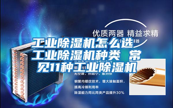 工業(yè)除濕機怎么選 工業(yè)除濕機種類(lèi) 常見(jiàn)11種工業(yè)除濕機