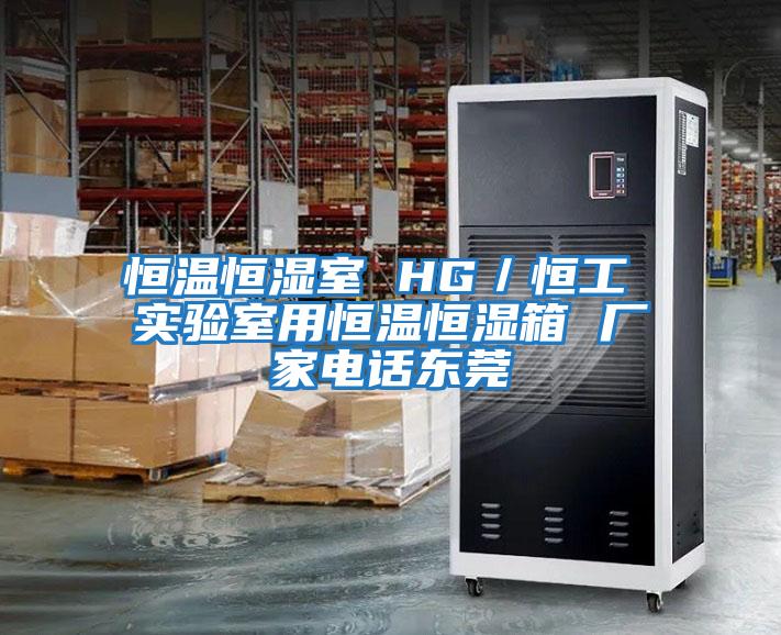 恒溫恒濕室 HG／恒工 實(shí)驗室用恒溫恒濕箱 廠(chǎng)家電話(huà)東莞