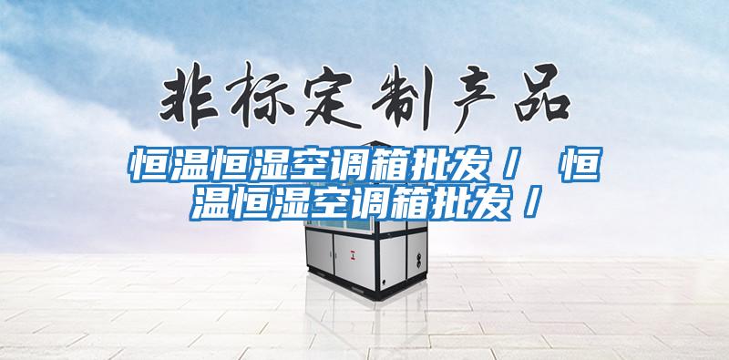 恒溫恒濕空調箱批發(fā)/ 恒溫恒濕空調箱批發(fā)/