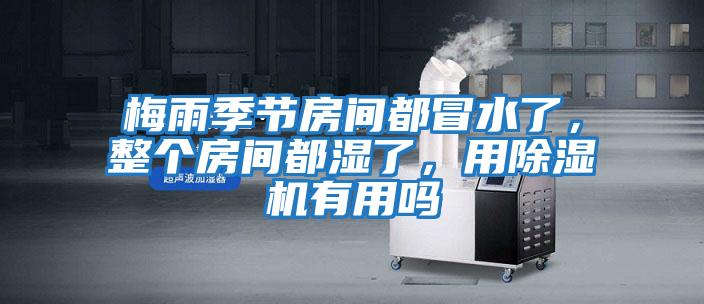 梅雨季節房間都冒水了，整個(gè)房間都濕了，用除濕機有用嗎