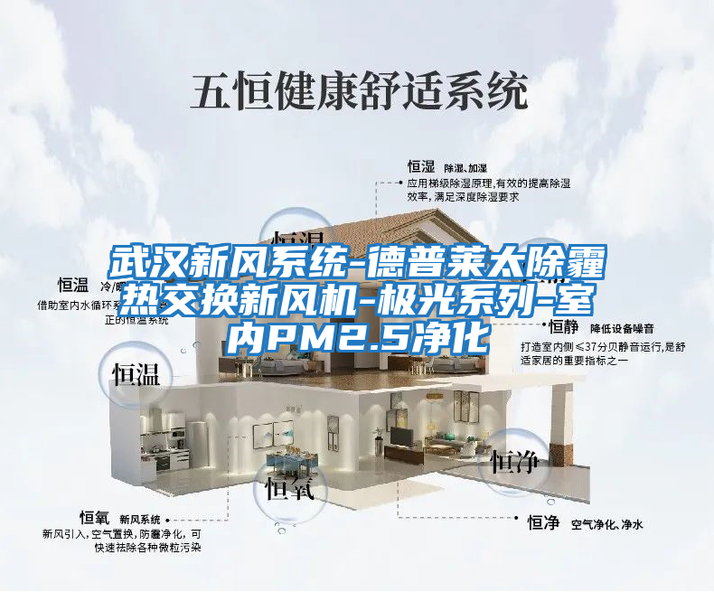 武漢新風(fēng)系統-德普萊太除霾熱交換新風(fēng)機-極光系列-室內PM2.5凈化