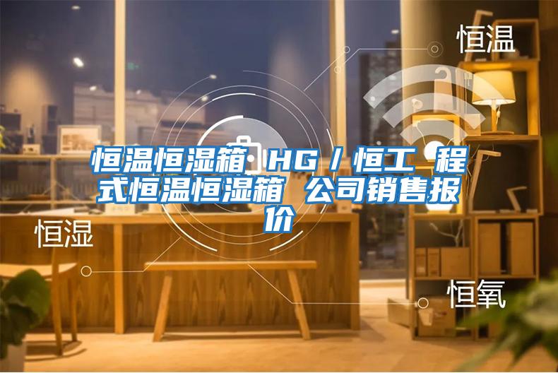 恒溫恒濕箱 HG／恒工 程式恒溫恒濕箱 公司銷(xiāo)售報價(jià)