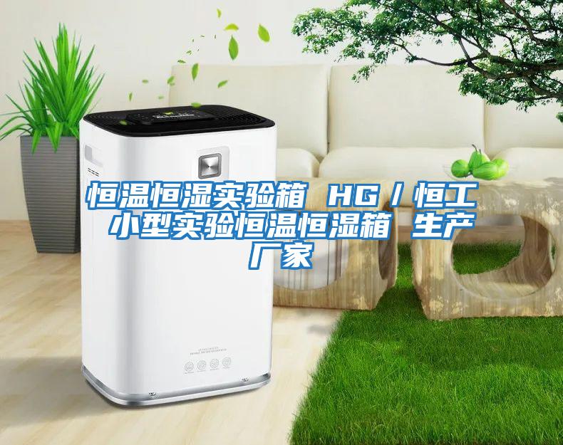 恒溫恒濕實(shí)驗箱 HG/恒工 小型實(shí)驗恒溫恒濕箱 生產(chǎn)廠(chǎng)家