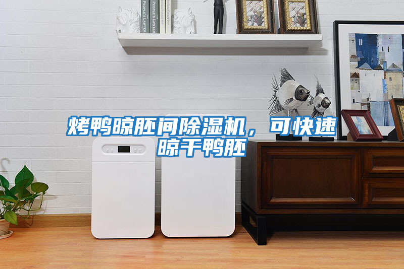 烤鴨晾胚間除濕機，可快速晾干鴨胚