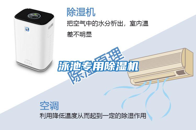泳池專(zhuān)用除濕機