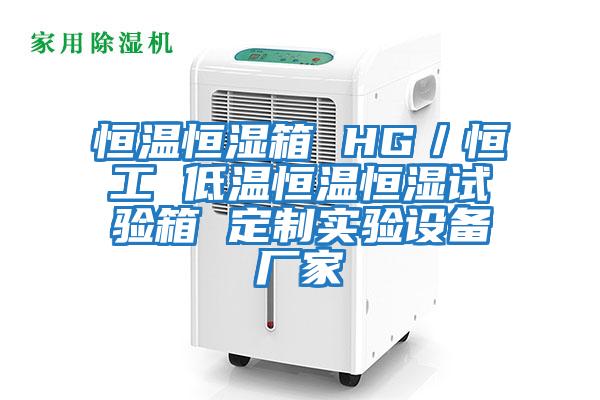 恒溫恒濕箱 HG/恒工 低溫恒溫恒濕試驗箱 定制實(shí)驗設備廠(chǎng)家