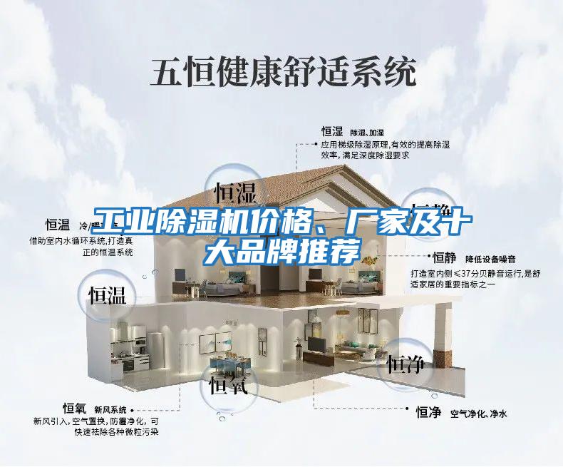 工業(yè)除濕機價(jià)格、廠(chǎng)家及十大品牌推薦