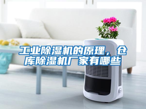 工業(yè)除濕機的原理，倉庫除濕機廠(chǎng)家有哪些