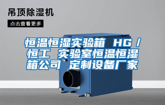 恒溫恒濕實(shí)驗箱 HG／恒工 實(shí)驗室恒溫恒濕箱公司 定制設備廠(chǎng)家