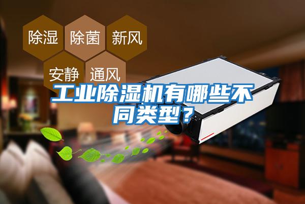 工業(yè)除濕機有哪些不同類(lèi)型？