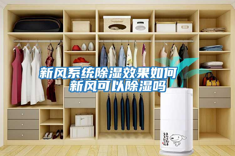 新風(fēng)系統除濕效果如何 新風(fēng)可以除濕嗎