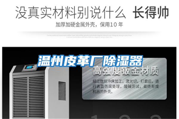 溫州皮革廠(chǎng)除濕器