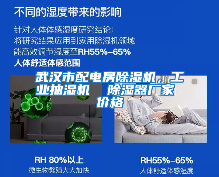 武漢市配電房除濕機，工業(yè)抽濕機  除濕器廠(chǎng)家 價(jià)格
