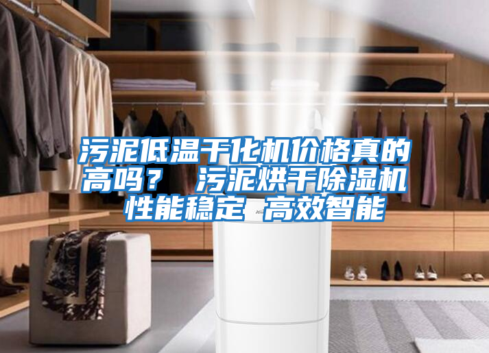 污泥低溫干化機價(jià)格真的高嗎？ 污泥烘干除濕機 性能穩定 高效智能