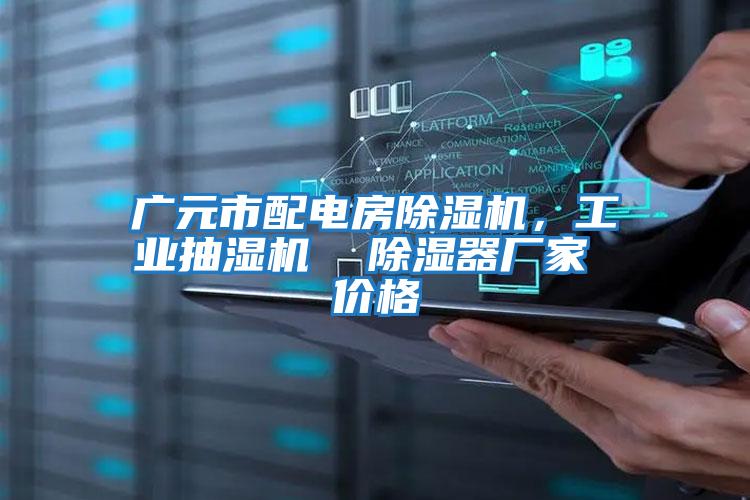 廣元市配電房除濕機，工業(yè)抽濕機  除濕器廠(chǎng)家 價(jià)格