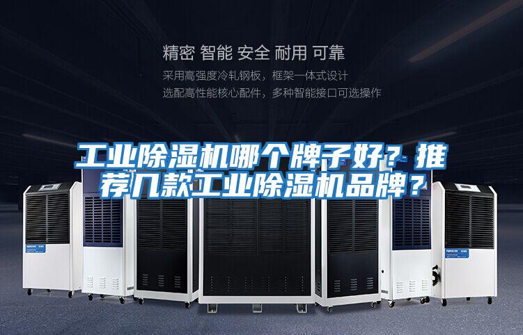 工業(yè)除濕機哪個(gè)牌子好？推薦幾款工業(yè)除濕機品牌？