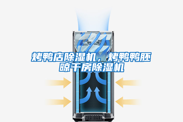 烤鴨店除濕機，烤鴨鴨胚晾干房除濕機