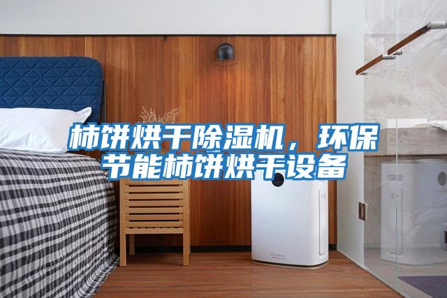 柿餅烘干除濕機，環(huán)保節能柿餅烘干設備