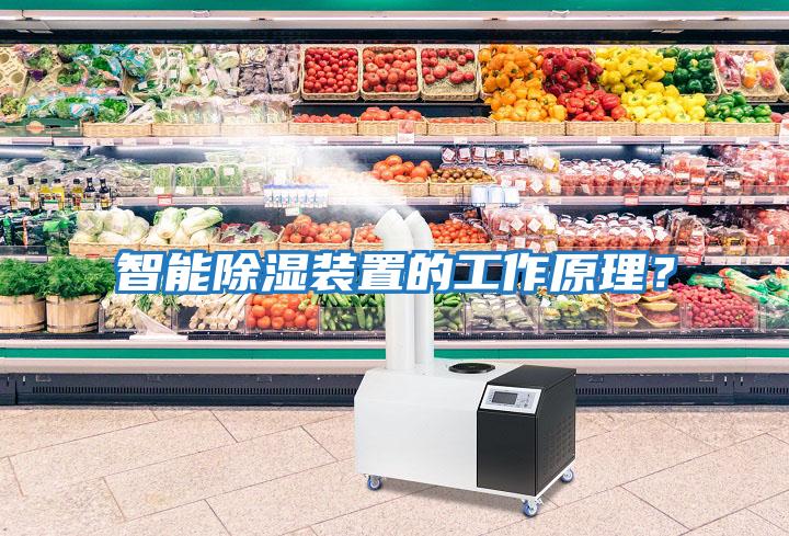 智能除濕裝置的工作原理？