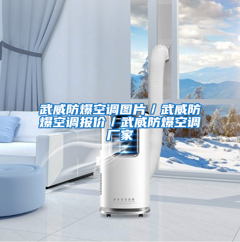 武威防爆空調圖片／武威防爆空調報價(jià)／武威防爆空調廠(chǎng)家