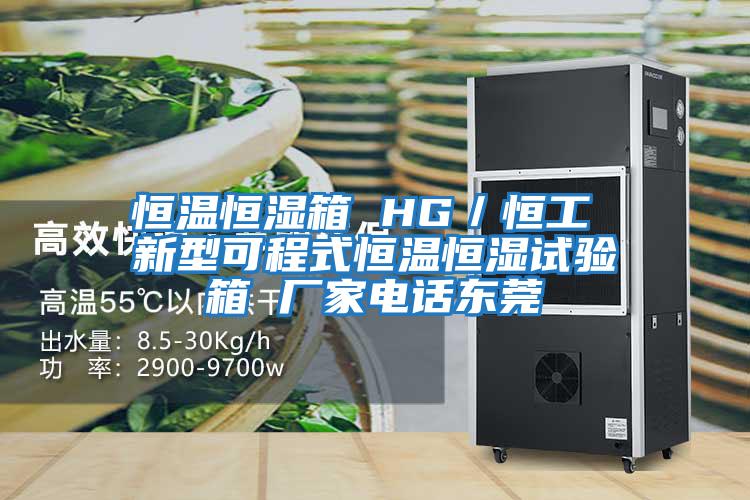 恒溫恒濕箱 HG/恒工 新型可程式恒溫恒濕試驗箱 廠(chǎng)家電話(huà)東莞
