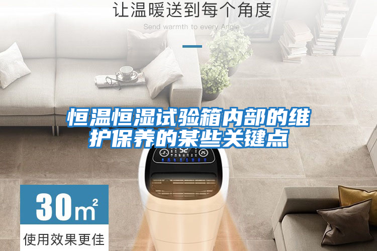 恒溫恒濕試驗箱內部的維護保養的某些關(guān)鍵點(diǎn)