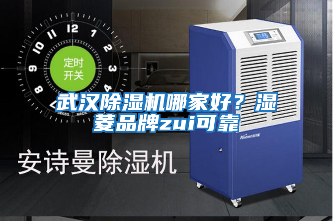 武漢除濕機哪家好？濕菱品牌zui可靠