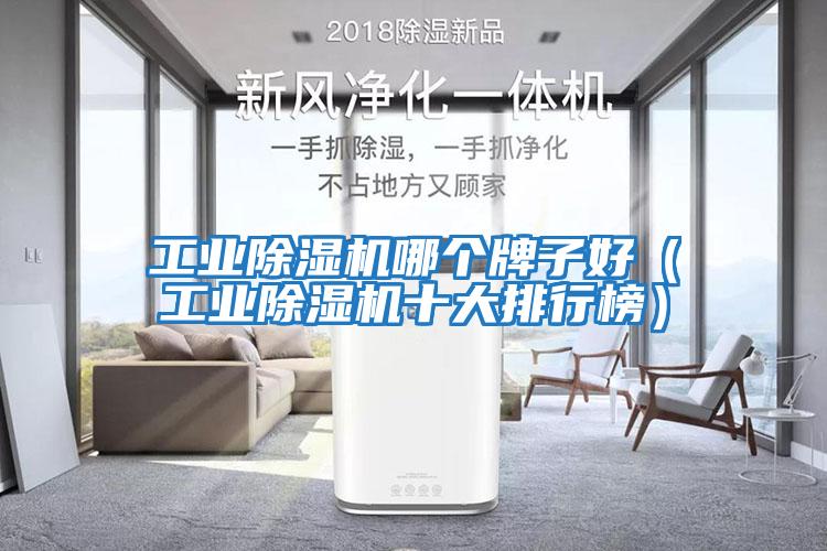 工業(yè)除濕機哪個(gè)牌子好（工業(yè)除濕機十大排行榜）