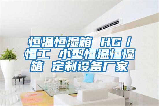 恒溫恒濕箱 HG／恒工 小型恒溫恒濕箱 定制設備廠(chǎng)家