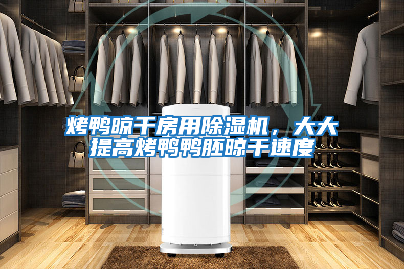 烤鴨晾干房用除濕機，大大提高烤鴨鴨胚晾干速度
