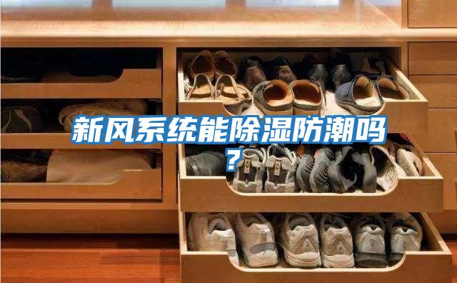 新風(fēng)系統能除濕防潮嗎？