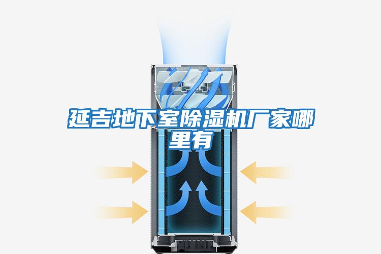 延吉地下室除濕機廠(chǎng)家哪里有