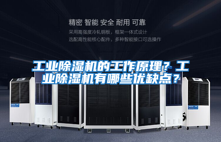 工業(yè)除濕機的工作原理？工業(yè)除濕機有哪些優(yōu)缺點(diǎn)？