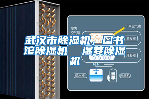 武漢市除濕機，圖書(shū)館除濕機  濕菱除濕機