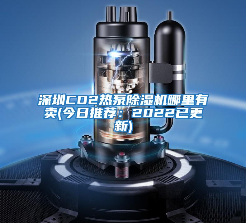 深圳CO2熱泵除濕機哪里有賣(mài)(今日推薦：2022已更新)