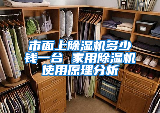 市面上除濕機多少錢(qián)一臺 家用除濕機使用原理分析