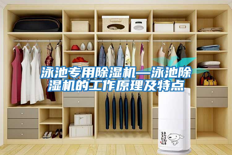泳池專(zhuān)用除濕機—泳池除濕機的工作原理及特點(diǎn)