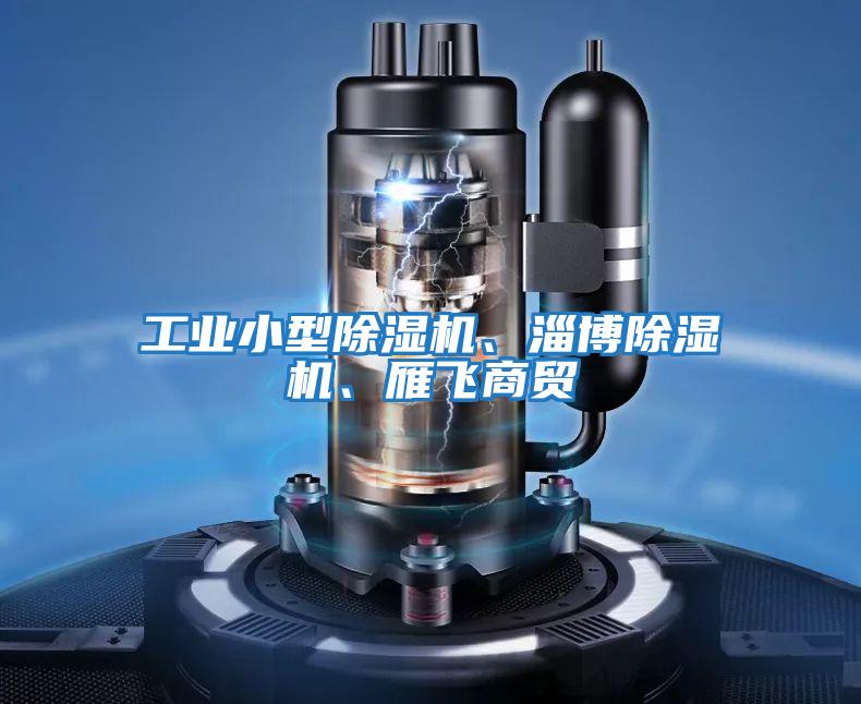 工業(yè)小型除濕機、淄博除濕機、雁飛商貿