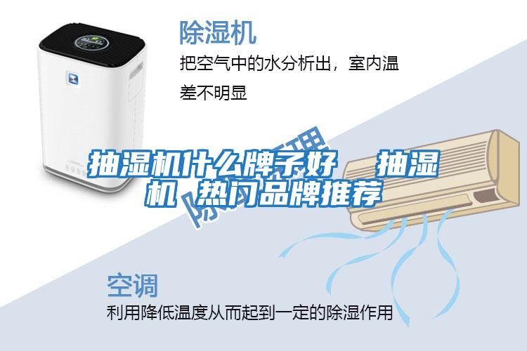 抽濕機什么牌子好  抽濕機 熱門(mén)品牌推薦