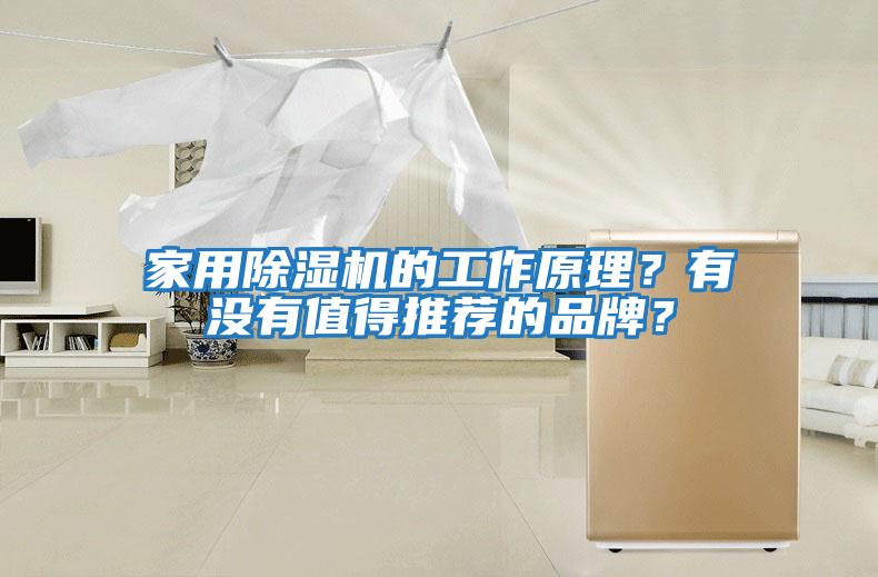 家用除濕機的工作原理？有沒(méi)有值得推薦的品牌？