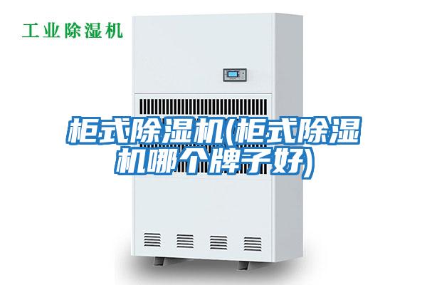 柜式除濕機(柜式除濕機哪個(gè)牌子好)