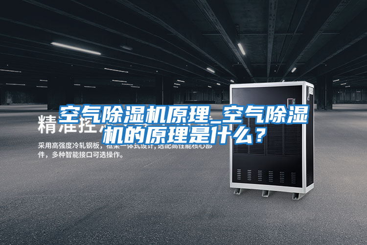 空氣除濕機原理_空氣除濕機的原理是什么？