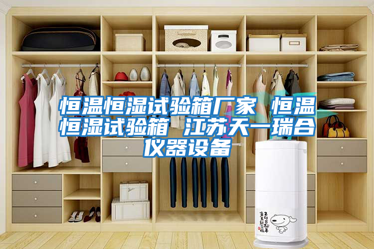 恒溫恒濕試驗箱廠(chǎng)家 恒溫恒濕試驗箱 江蘇天一瑞合儀器設備