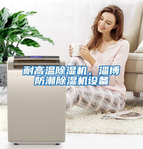 耐高溫除濕機，淄博防潮除濕機設備