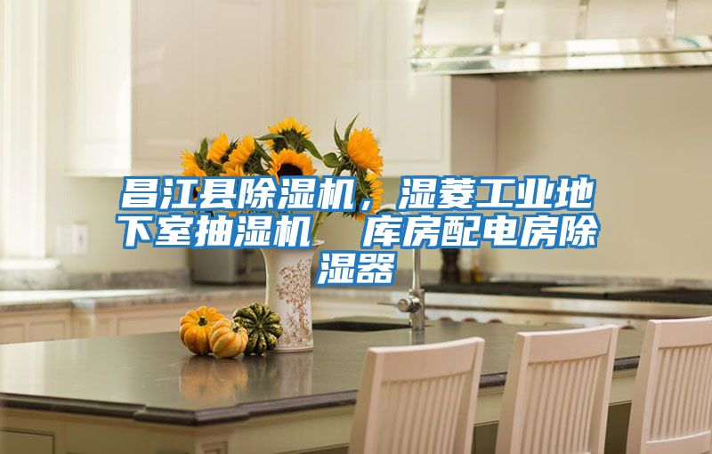 昌江縣除濕機，濕菱工業(yè)地下室抽濕機  庫房配電房除濕器